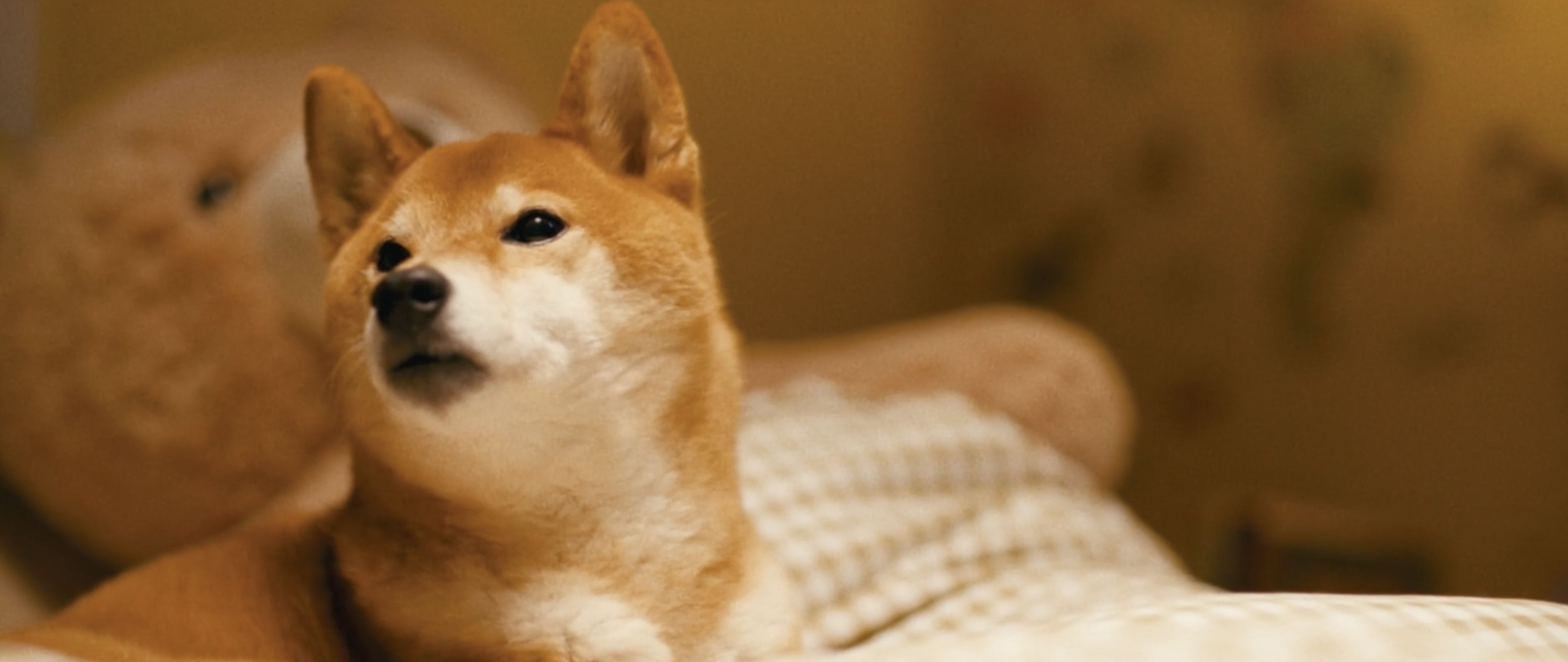 スクリーンショット 2026-01-23 15.21.19